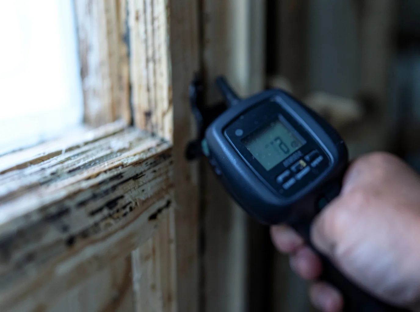 Moisture Inspection And Documentation in Shepherdstown, WV